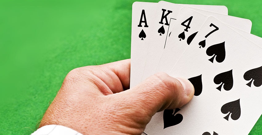 people playing spades